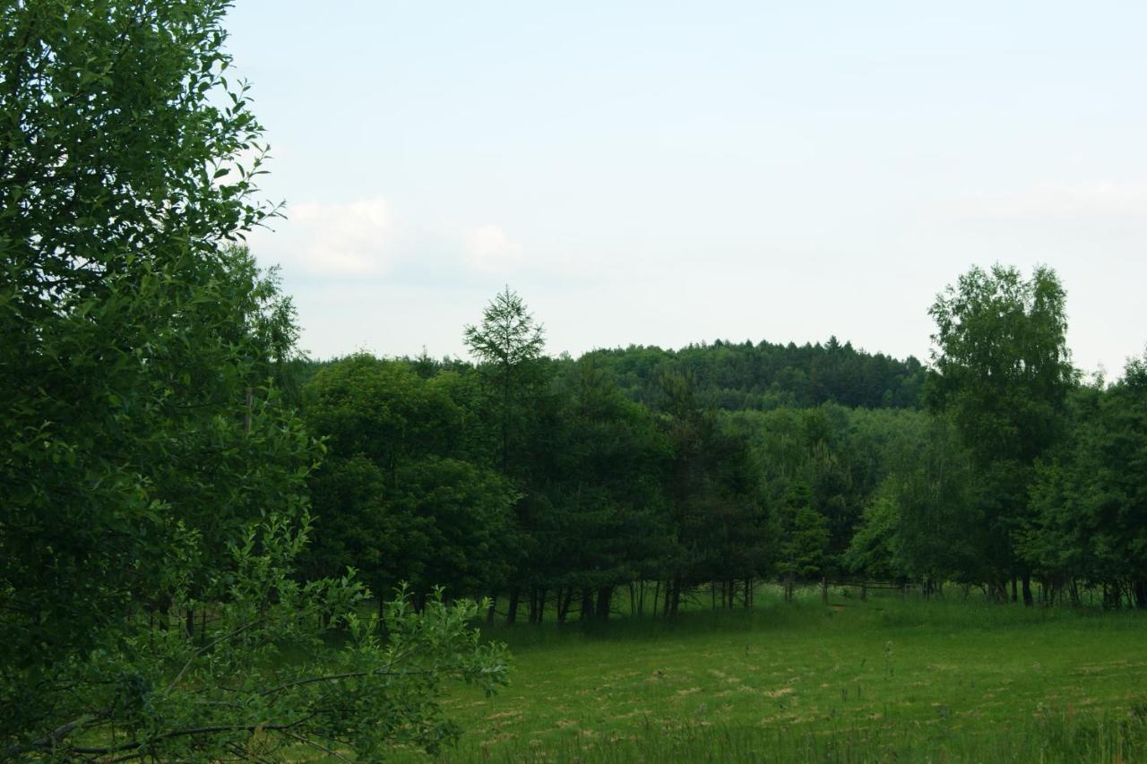 Siedlisko Blotnia Villa Mierzeszyn Dış mekan fotoğraf