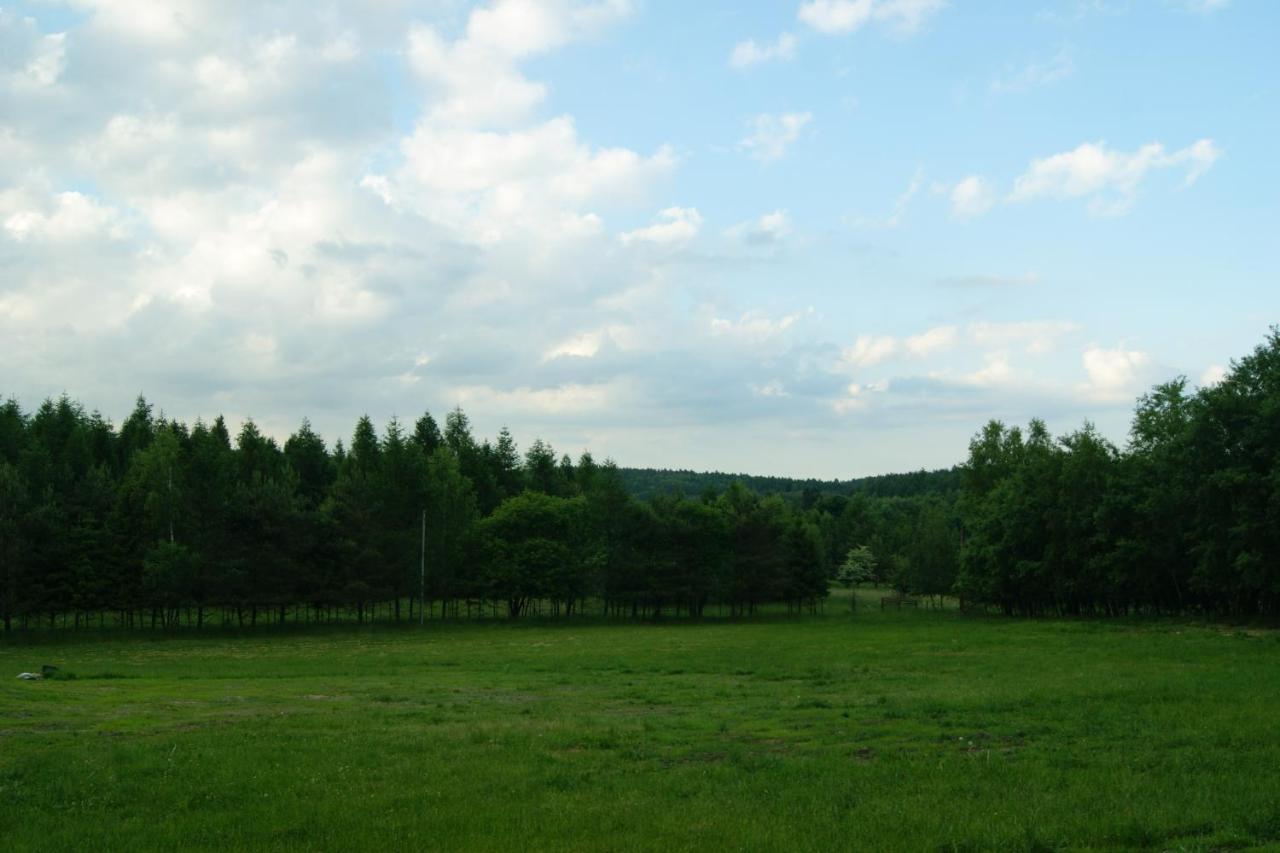 Siedlisko Blotnia Villa Mierzeszyn Dış mekan fotoğraf